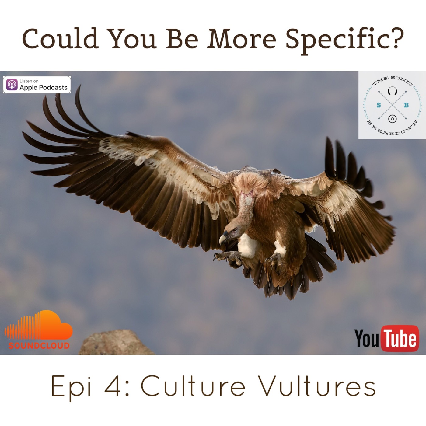 Could You Be More Specific? Epi 4: Culture Vultures