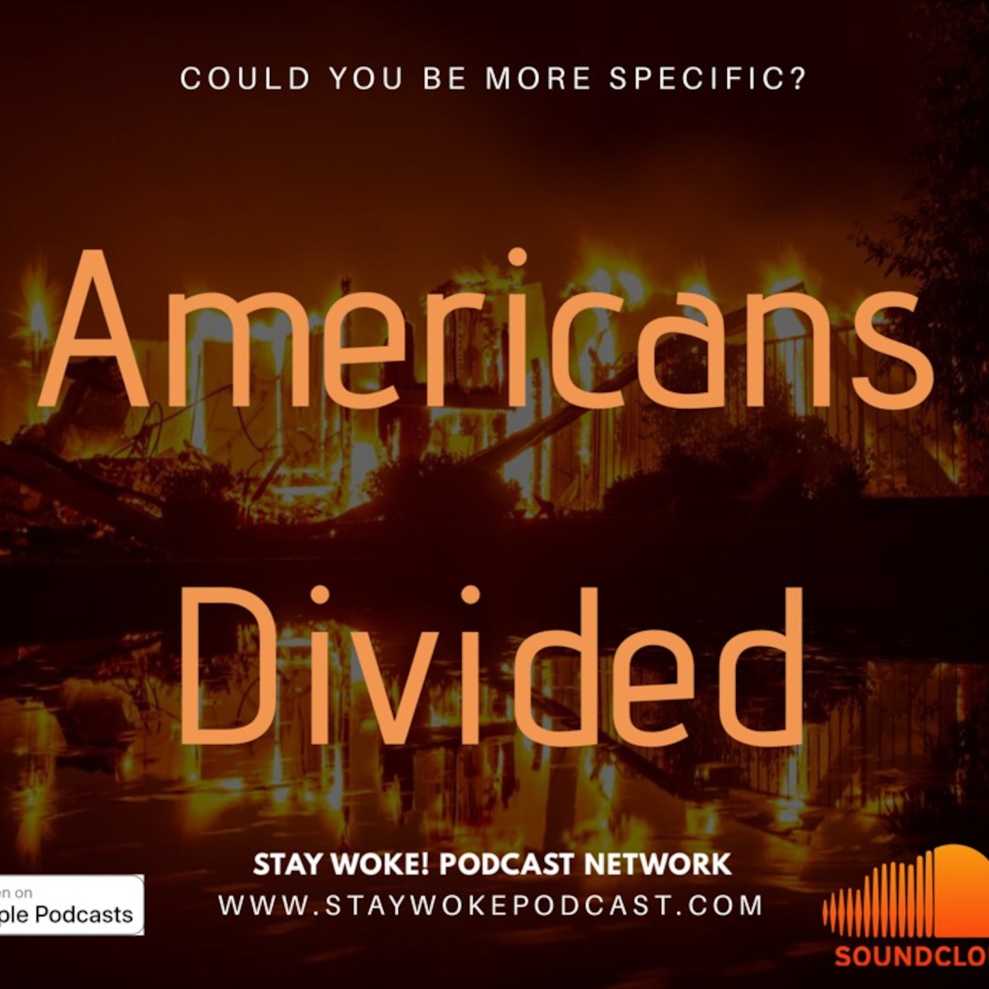 Could You Be More Specific? Americans Divided