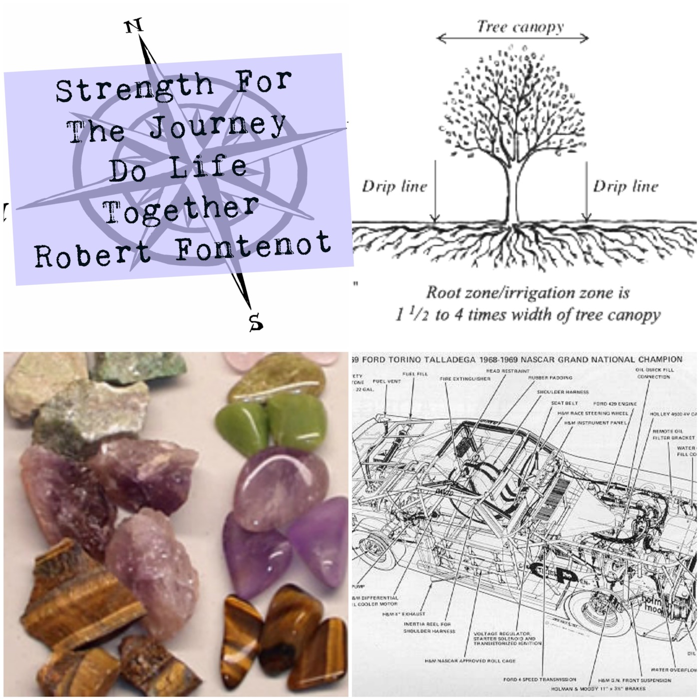 What do a tree, rocks, and a car have in common? episode artwork