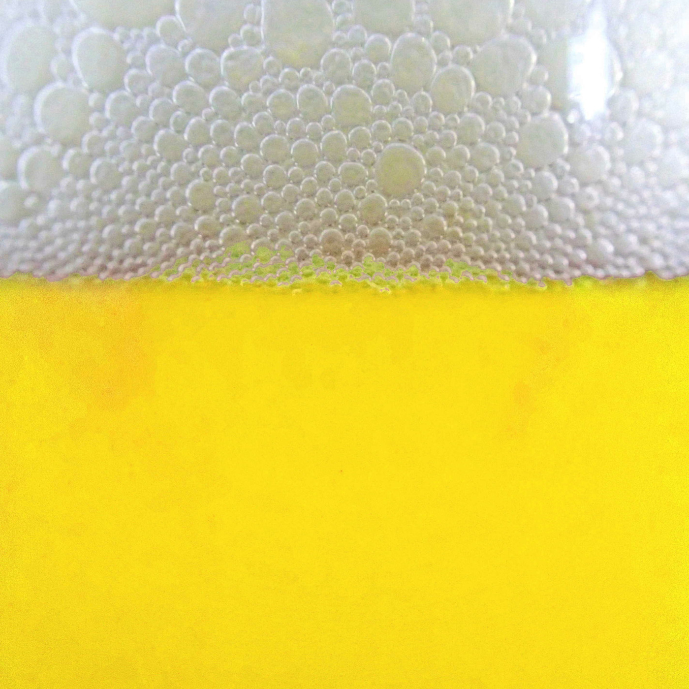 Episode 42: 42 - International Pale Lager