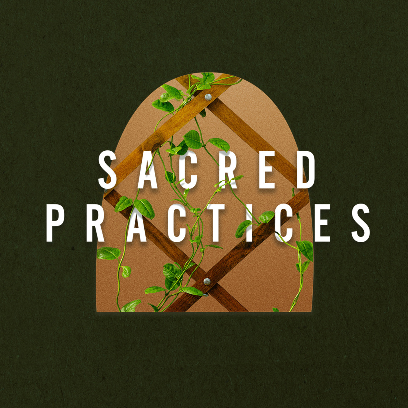 Episode 368: Sacred Practices - Community // Jake Garrett // 01-25-26