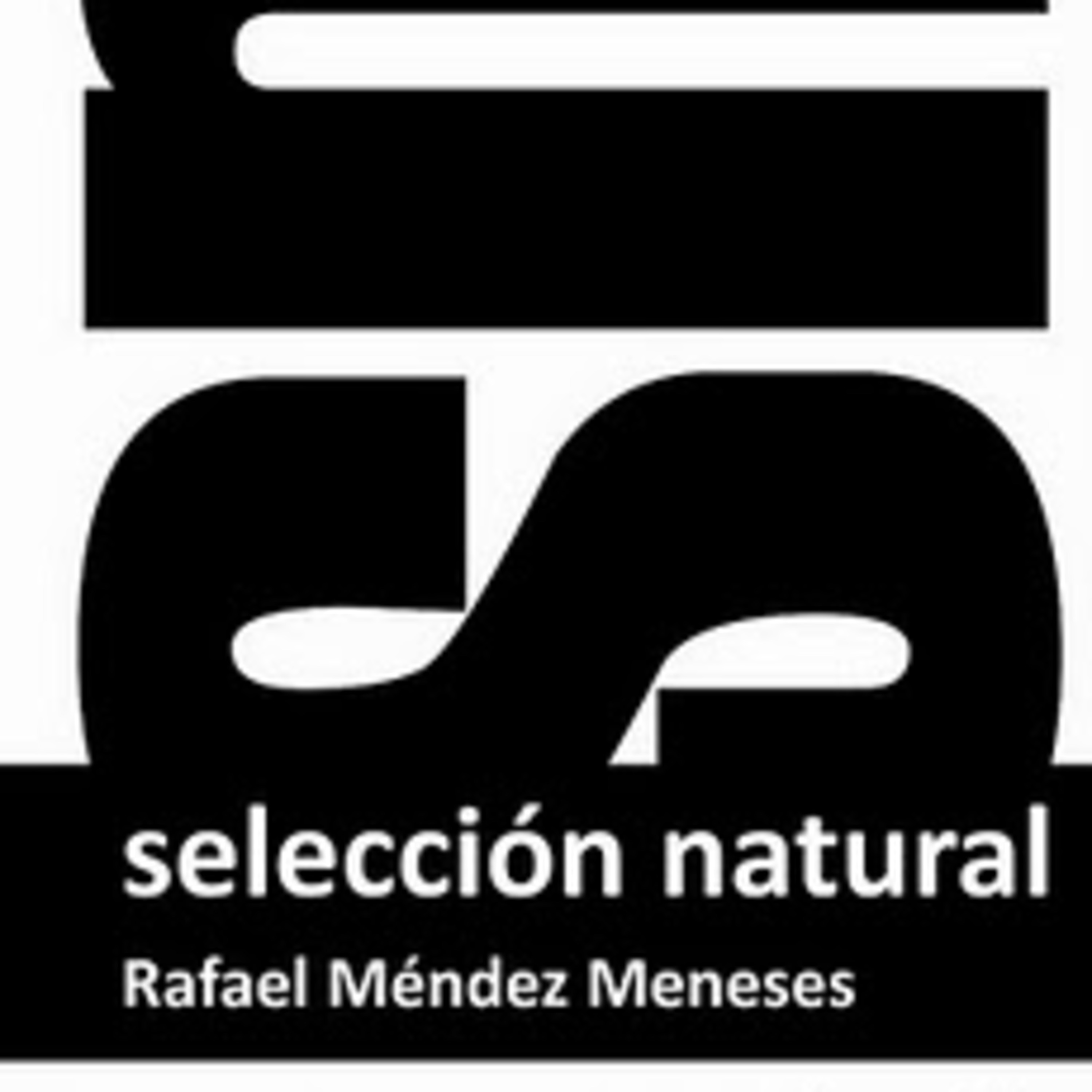 Mientras todos corren Podcast