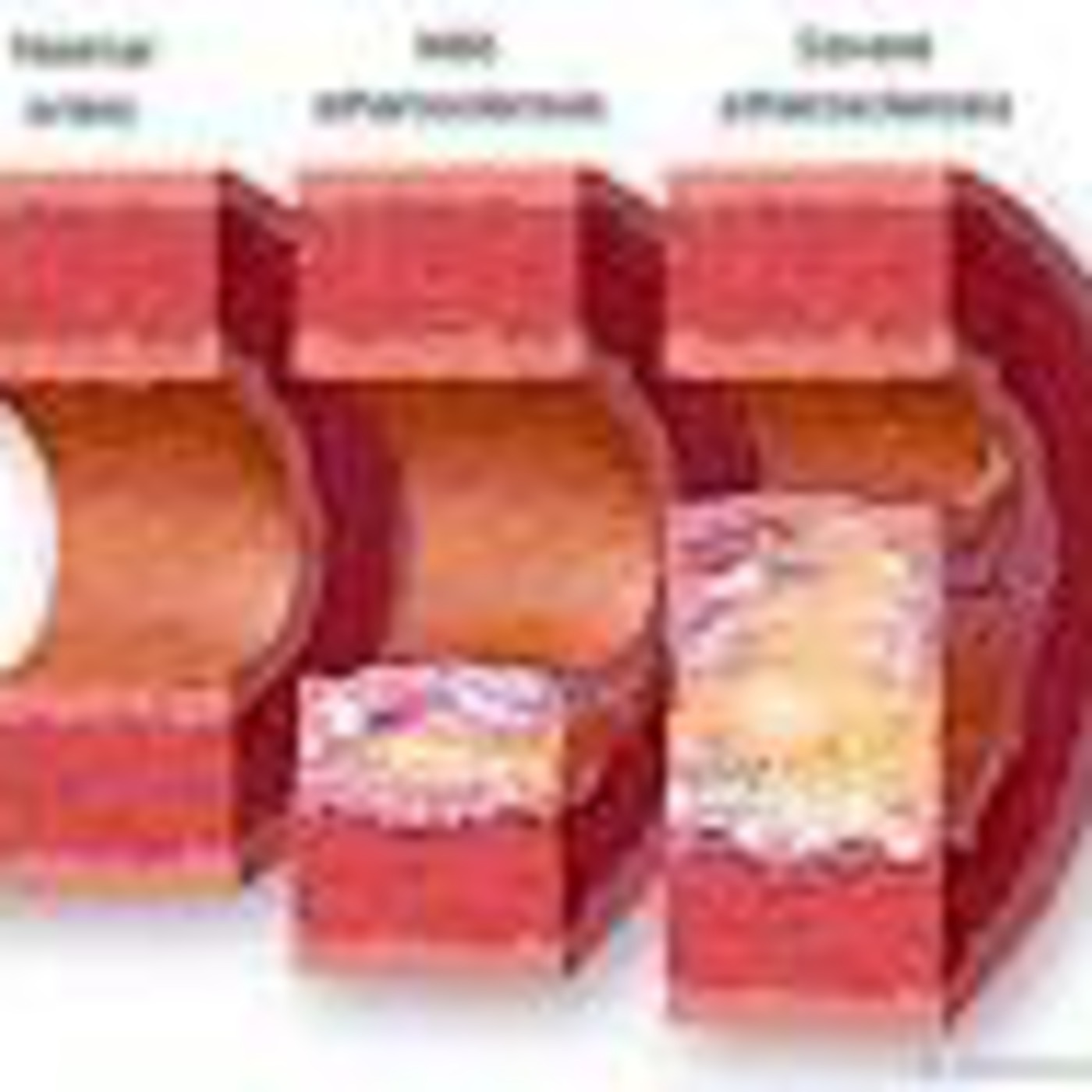 Raw Life Health Show Podcast