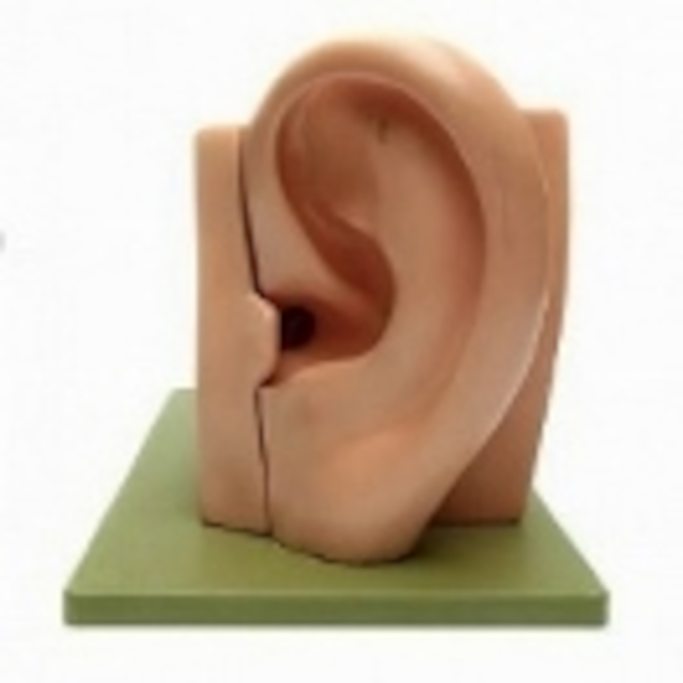 Programa 04 - 2014 - Saúde Auditiva