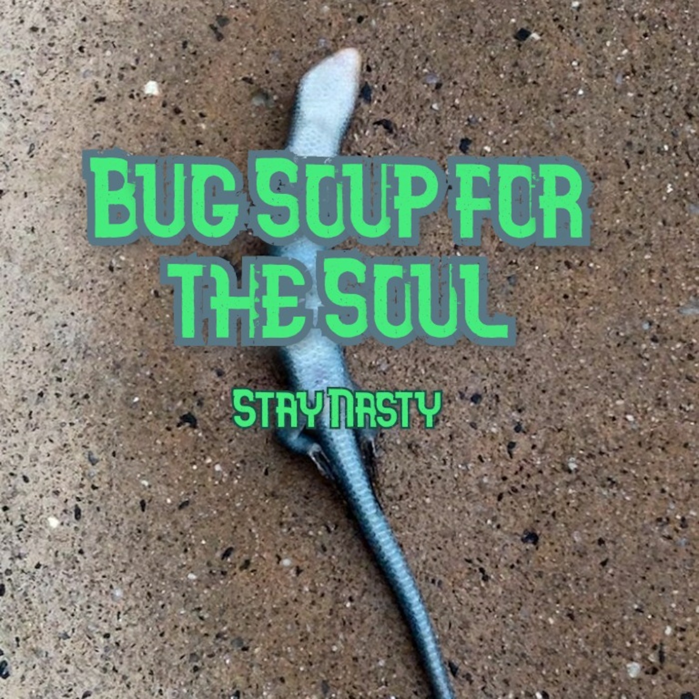 Bug Soup for the Soul podcast artwork