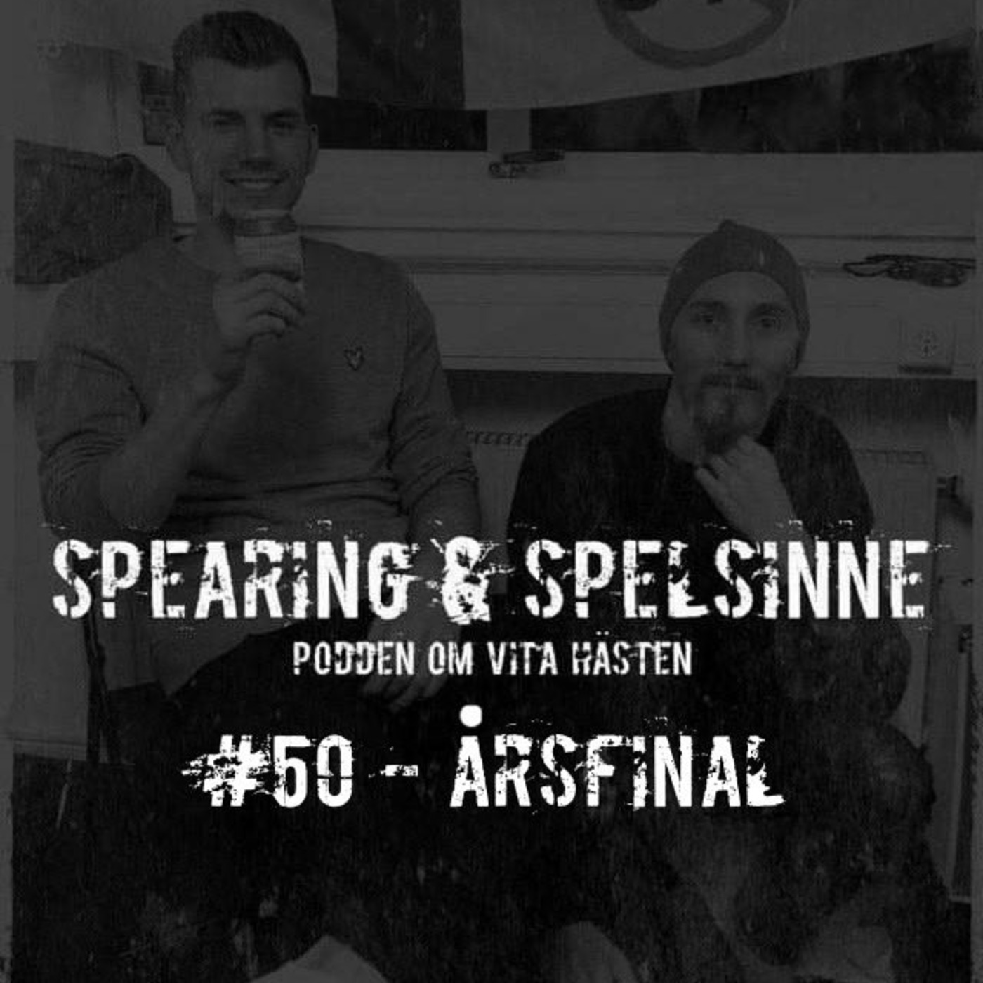 Spearing & Spelsinne