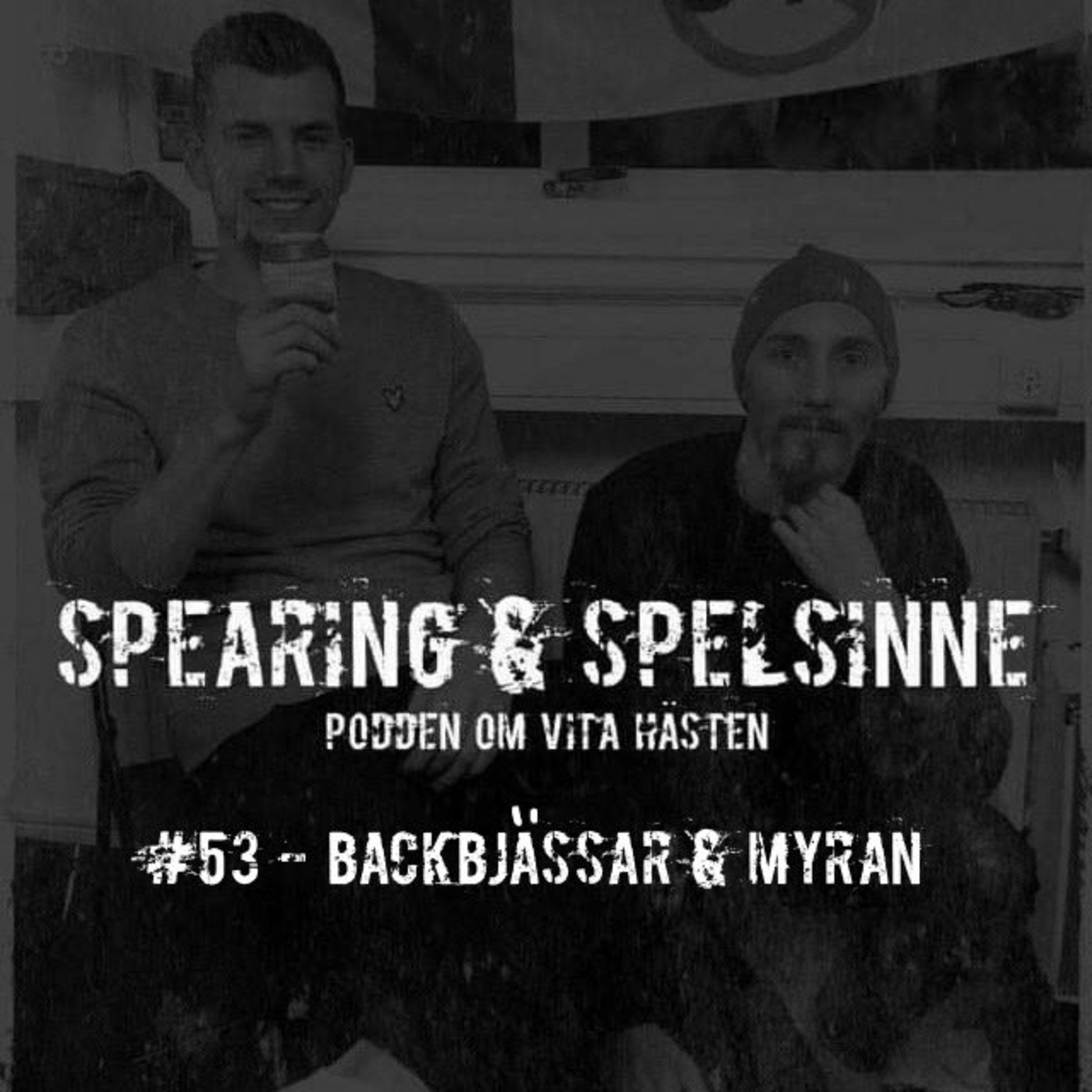 Spearing & Spelsinne