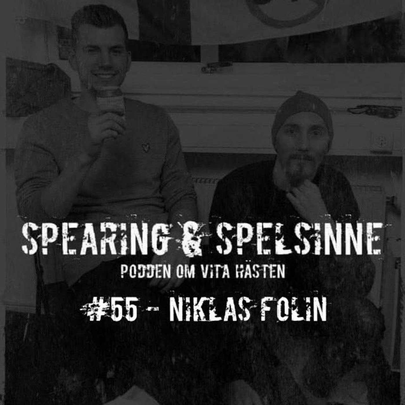 Spearing & Spelsinne