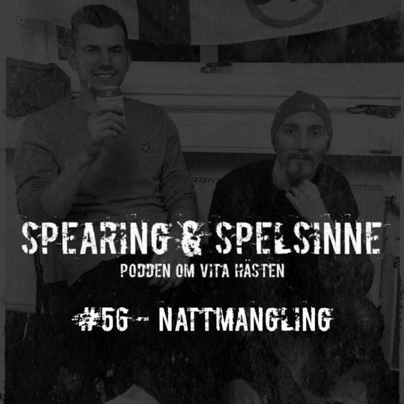 Spearing & Spelsinne