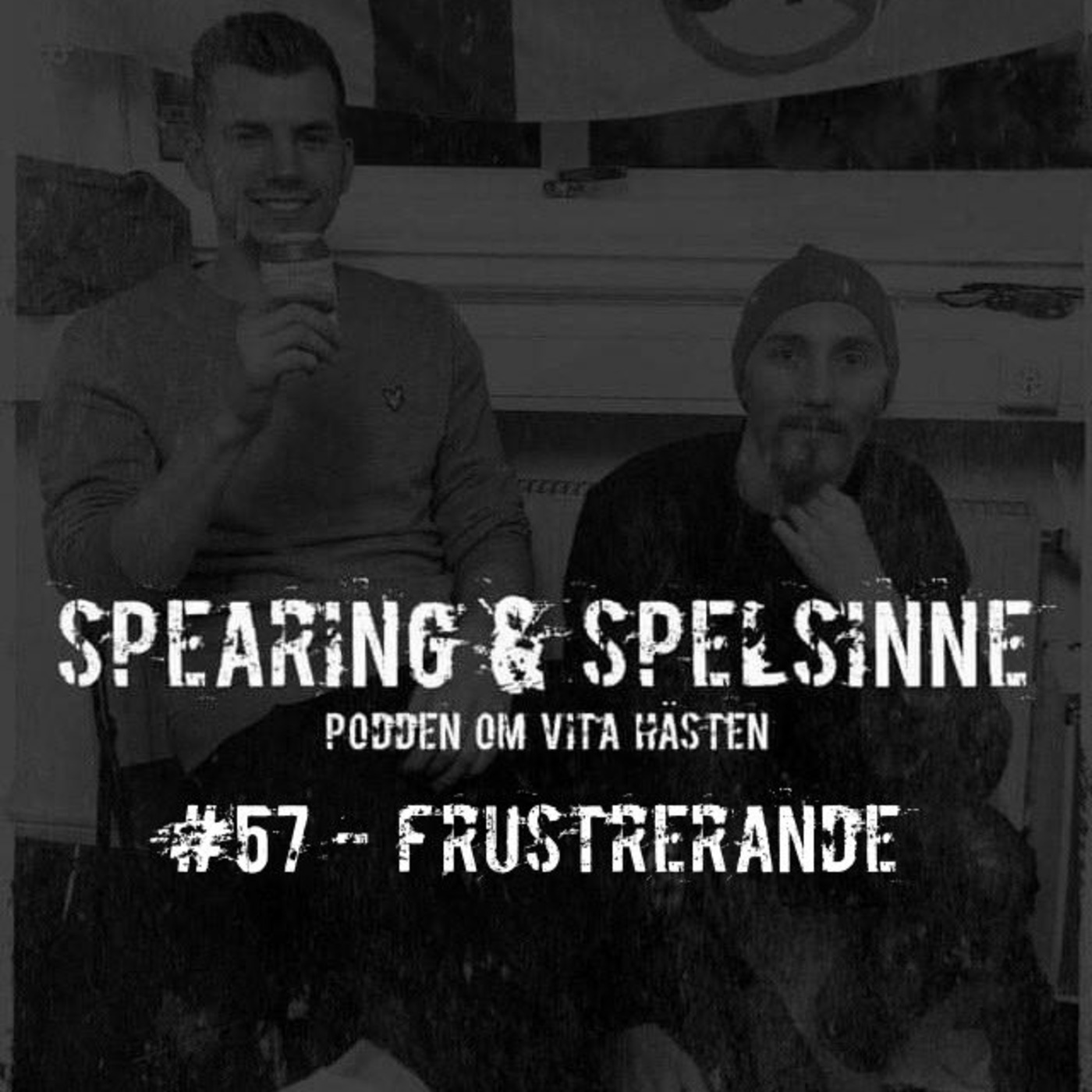 Spearing & Spelsinne