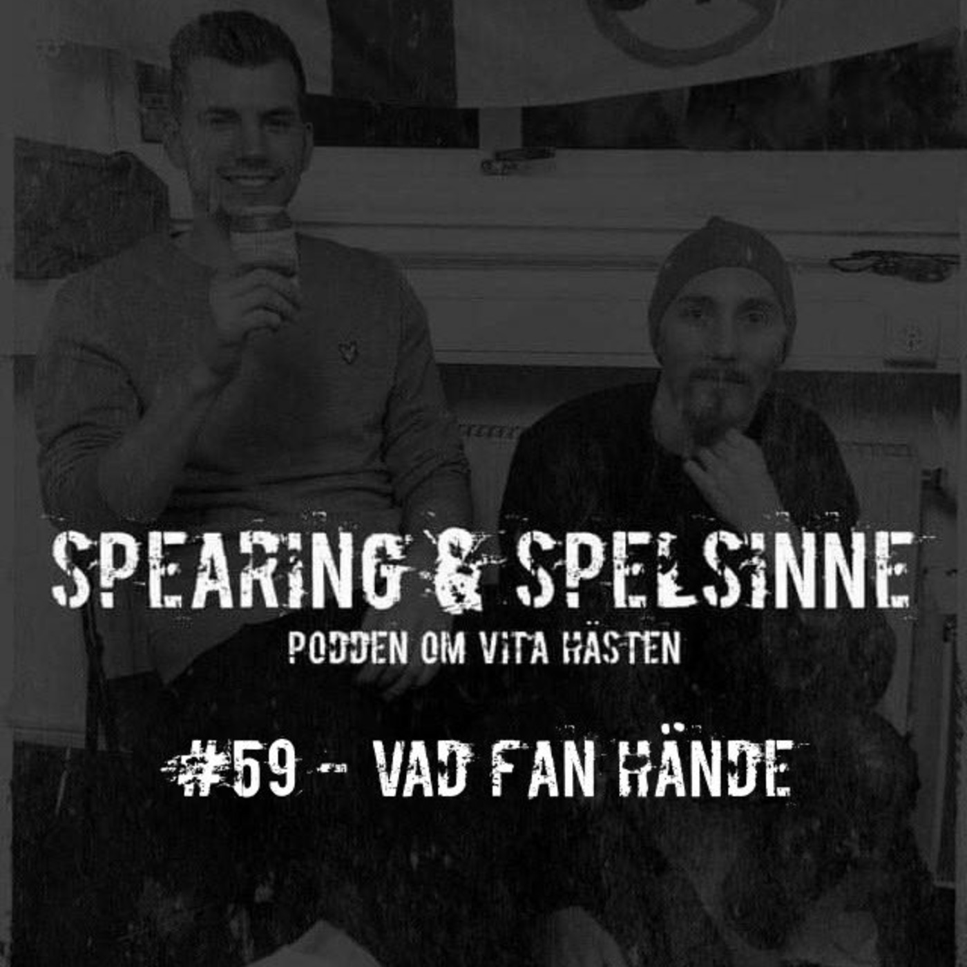 Spearing & Spelsinne