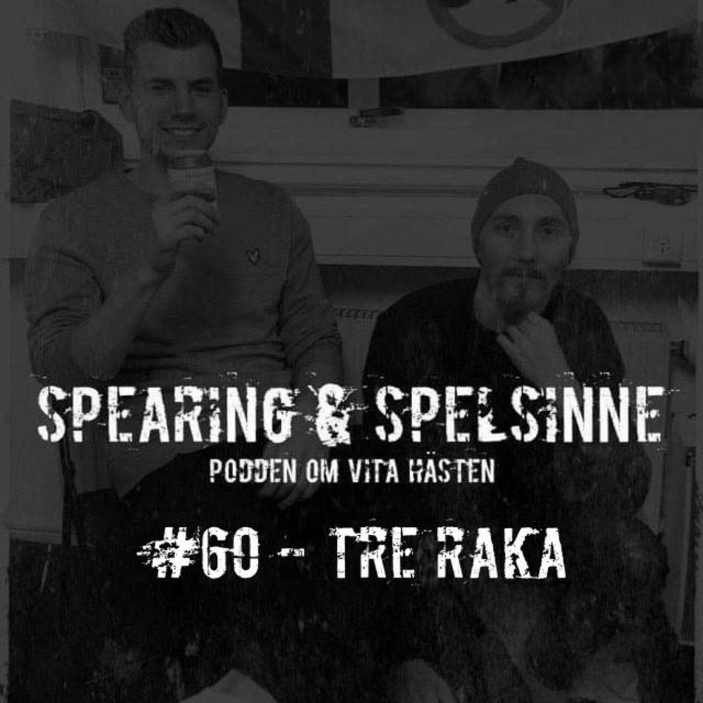 Spearing & Spelsinne