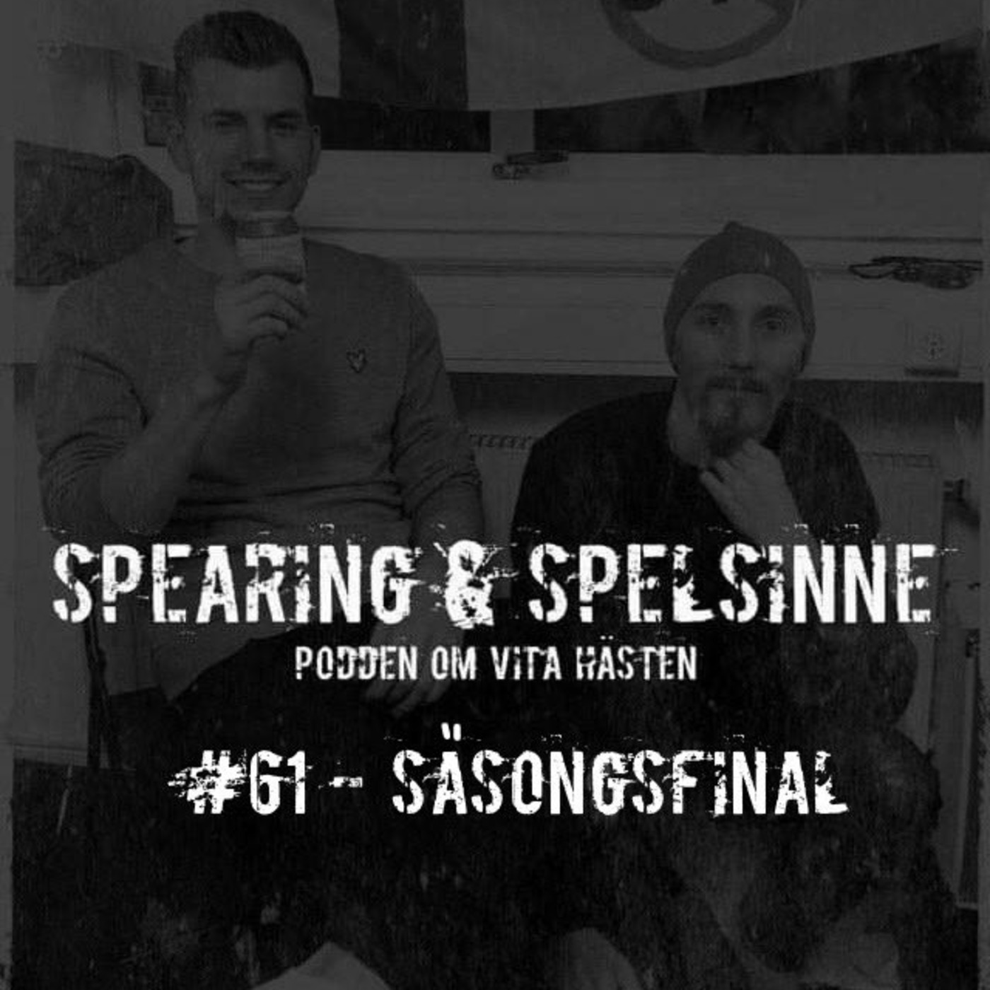 Spearing & Spelsinne