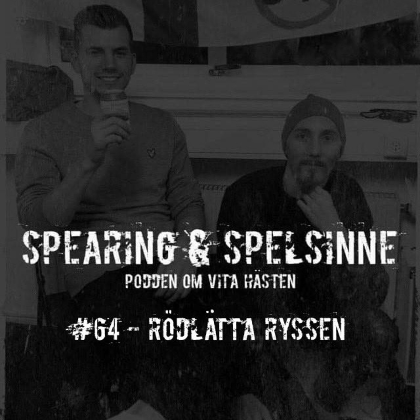 Spearing & Spelsinne