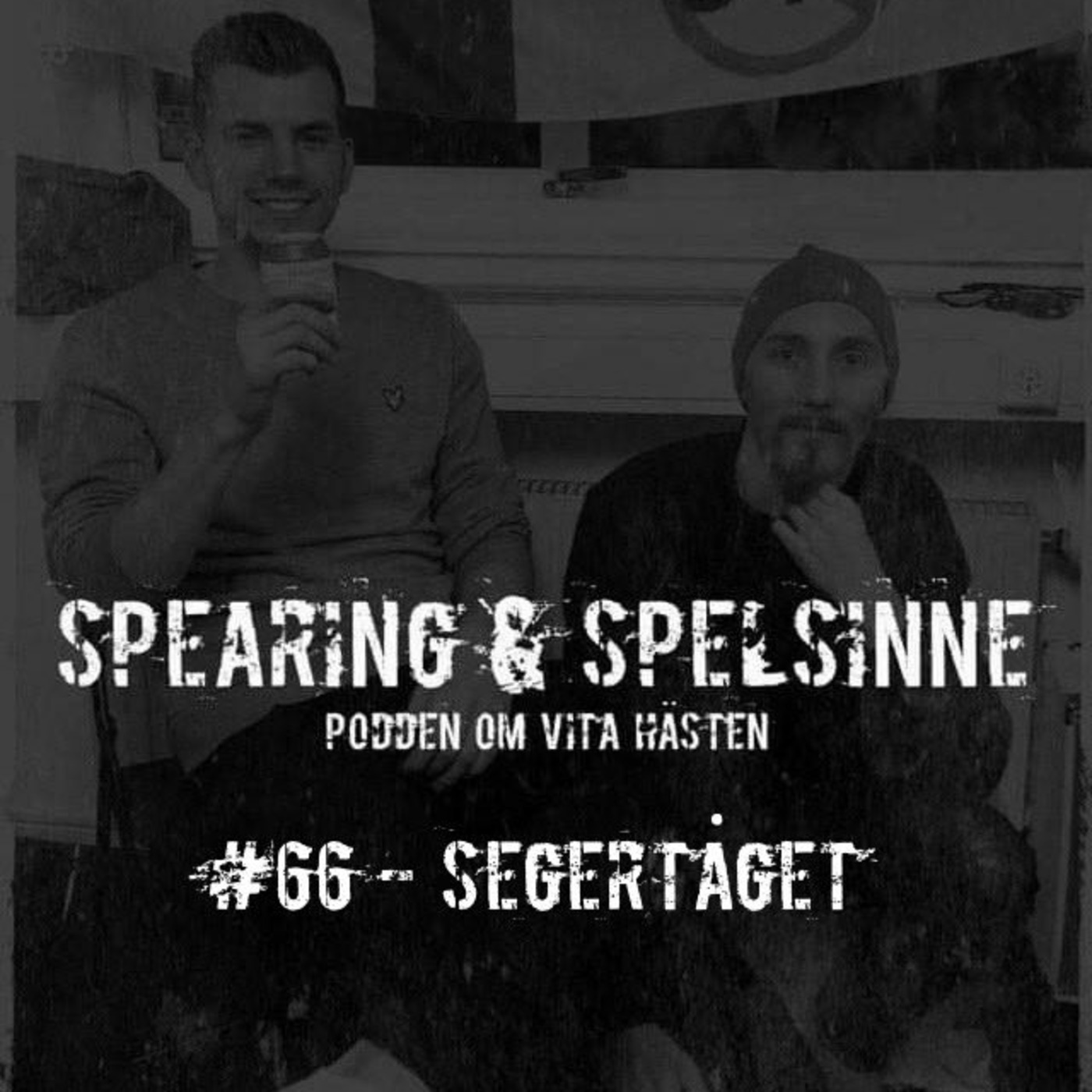 Spearing & Spelsinne