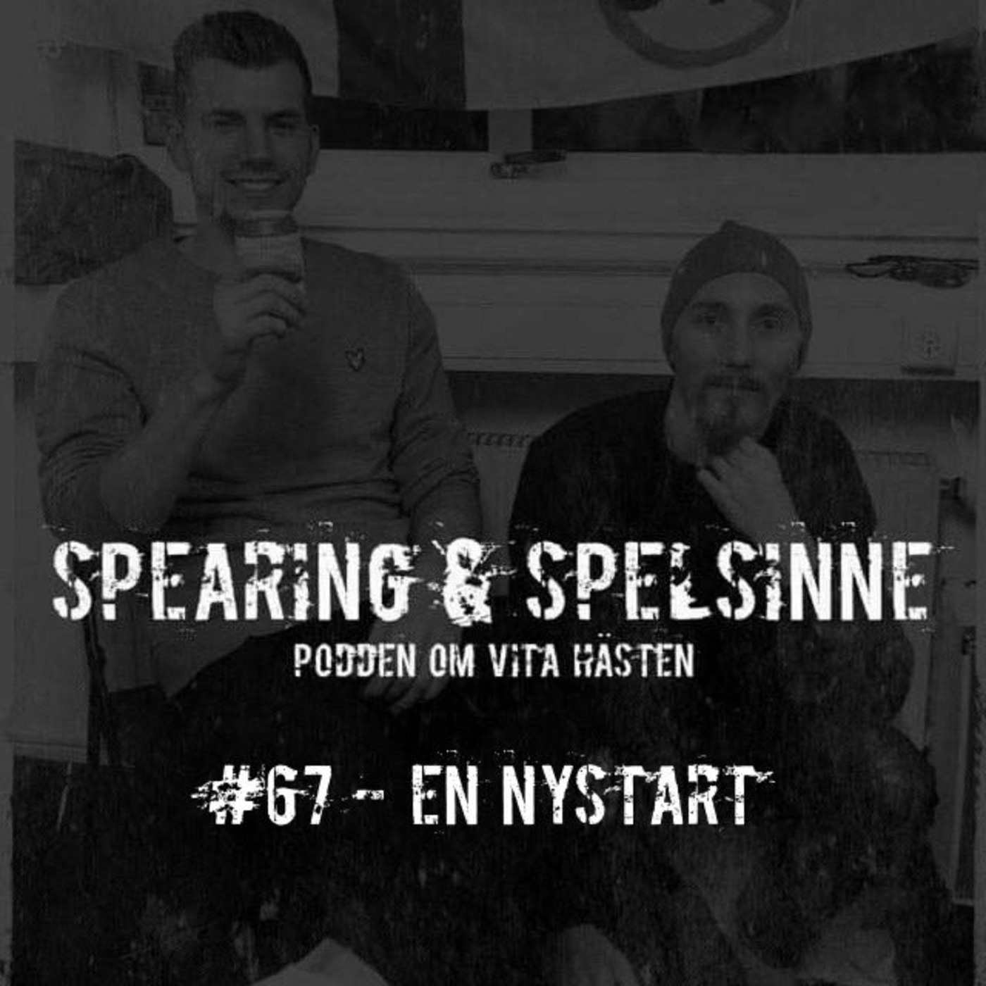 Spearing & Spelsinne