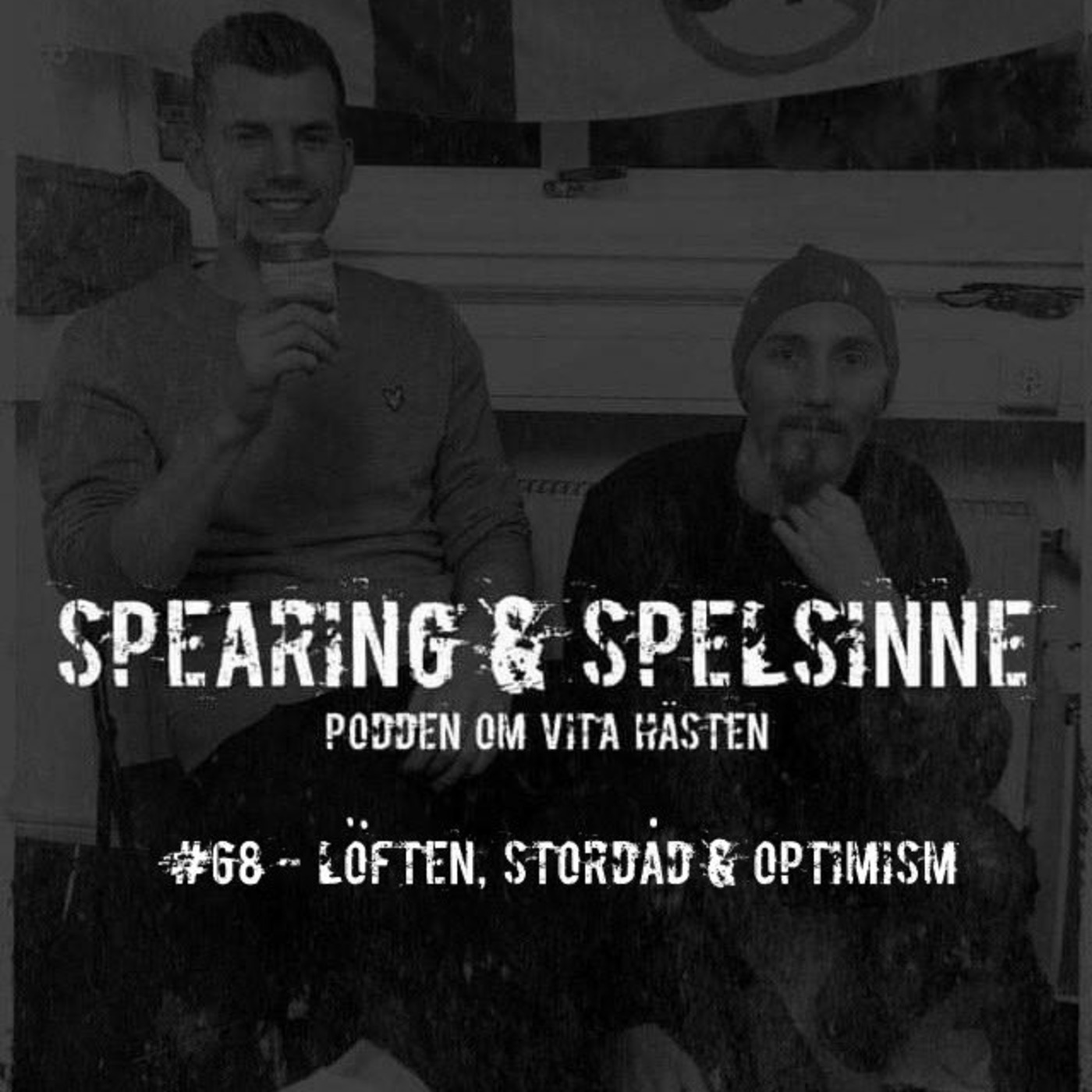 Spearing & Spelsinne