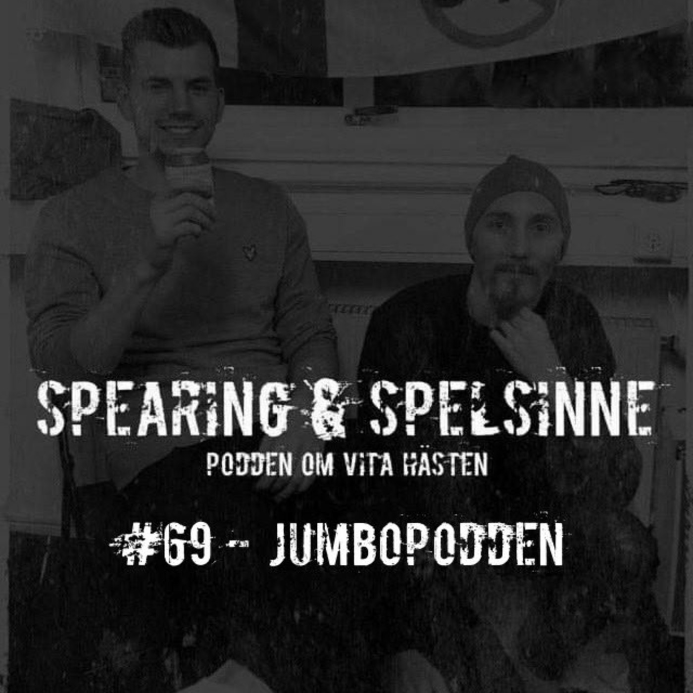 Spearing & Spelsinne