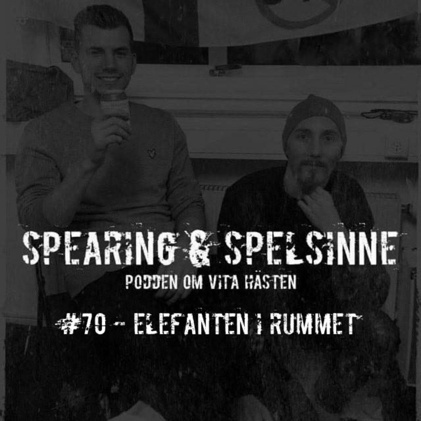 Spearing & Spelsinne