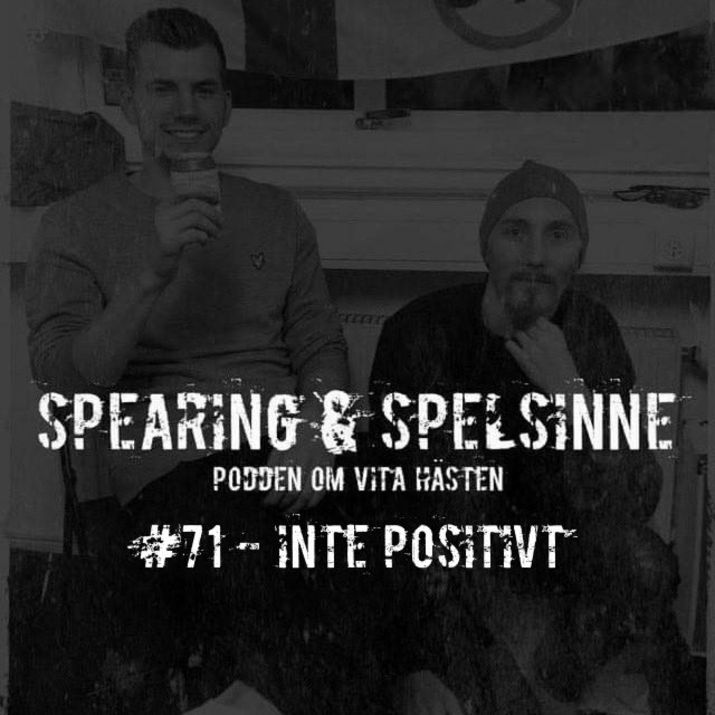 Spearing & Spelsinne