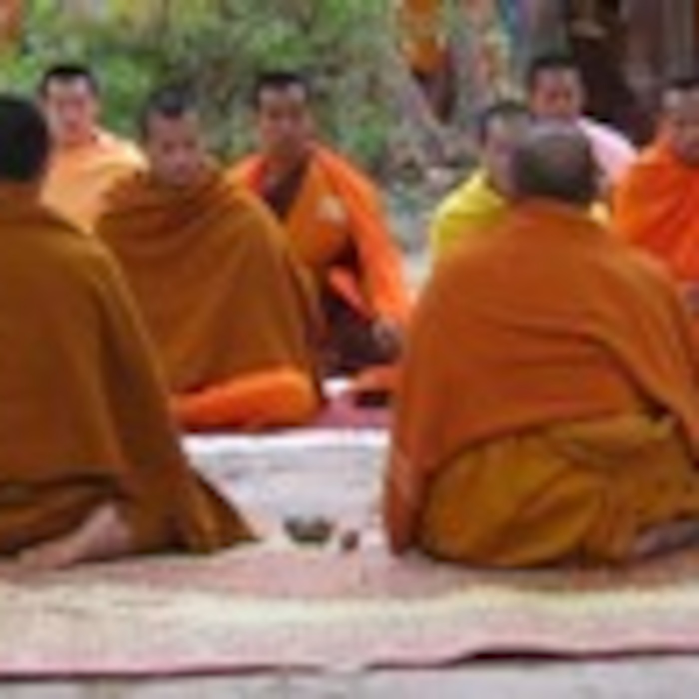 Yokoyama\'s Top Scores