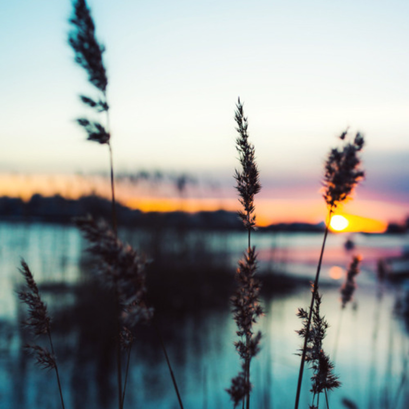 Portamenton'air #11 Portamenton'air #11