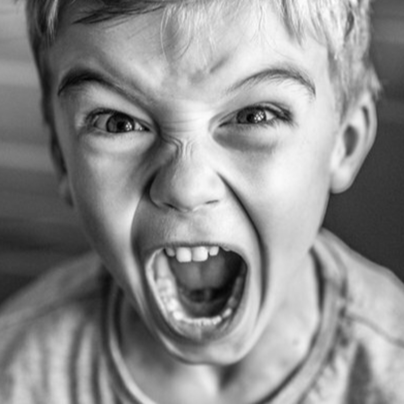 Episode 25: Portamento On Air #25 Episode 25: Portamento On Air #25