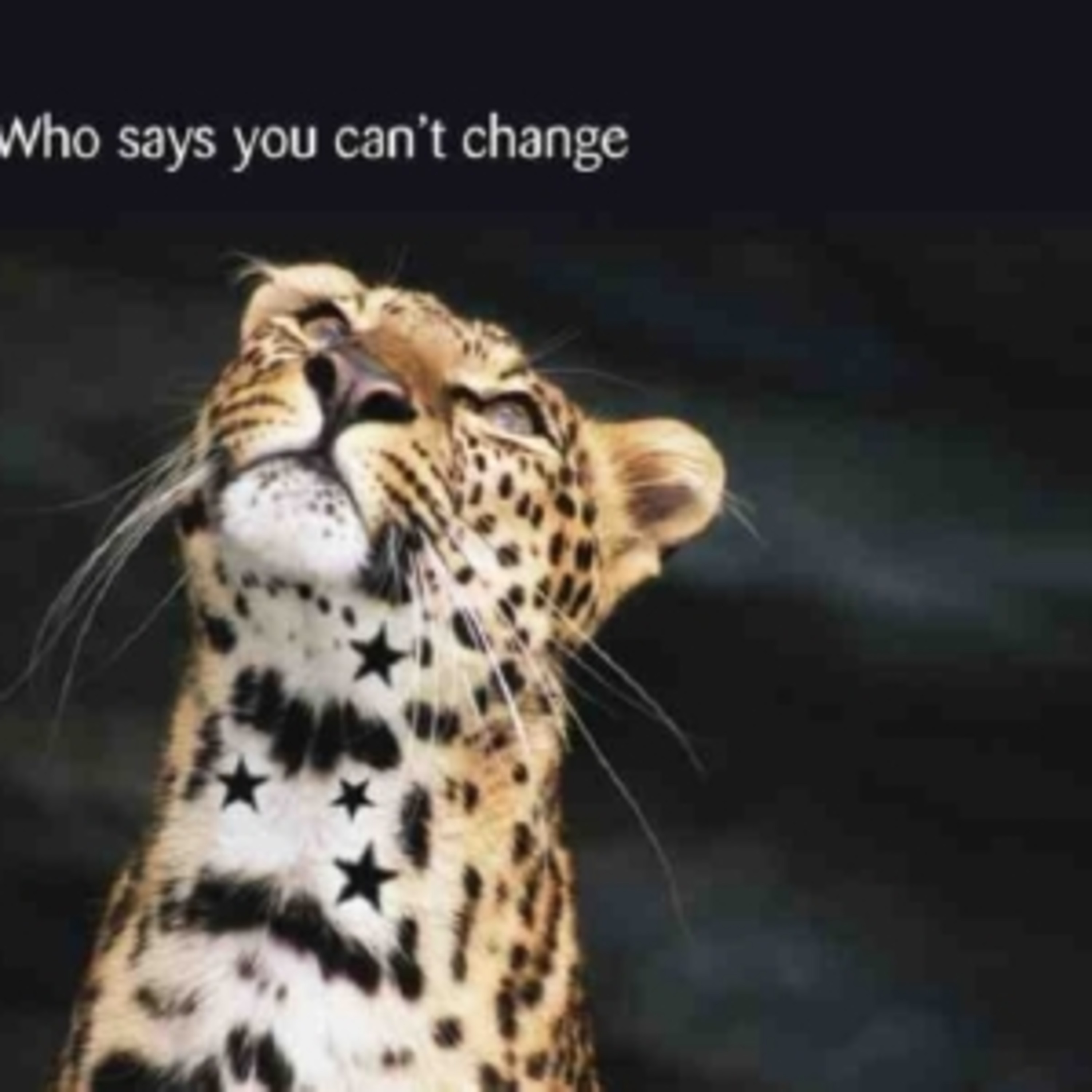 Change Mgt - Forces for Change episode artwork
