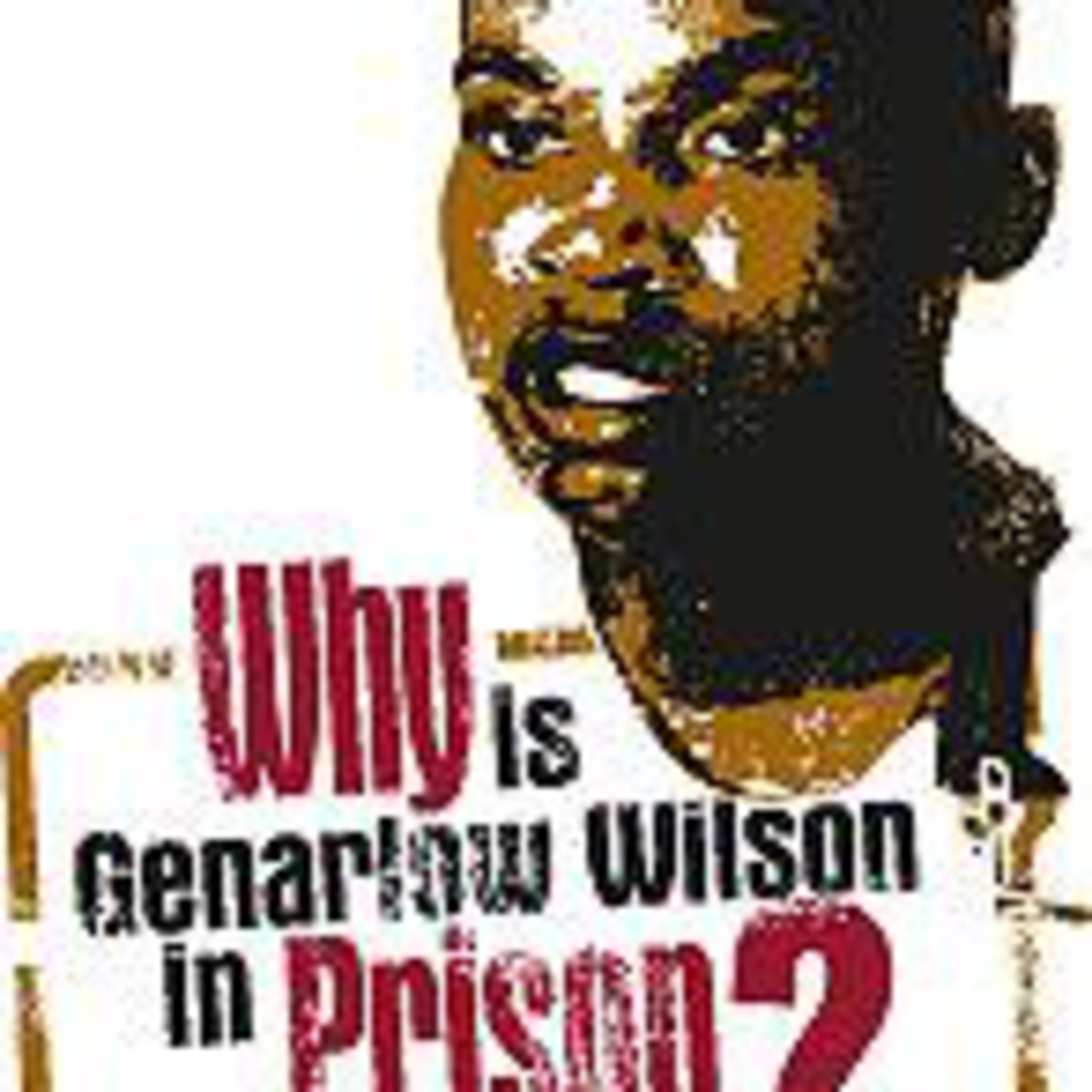 Gnarlow Wilson's Attorney B.J. Bernstein is on the program. episode artwork