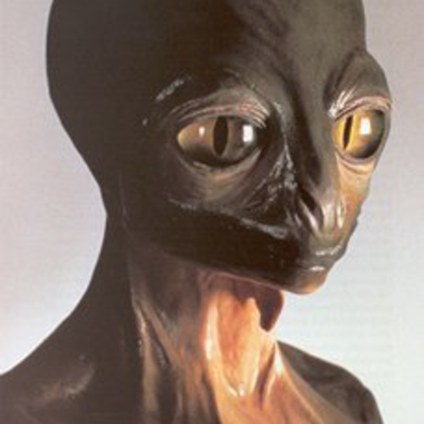 Episode 7: The Reptilians