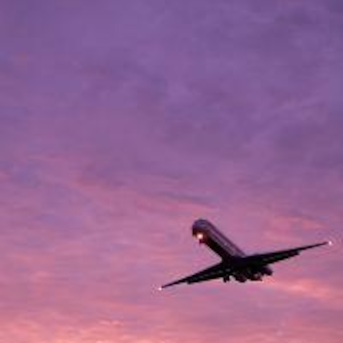 #40 飛行機に乗ろう！ (Flying!)