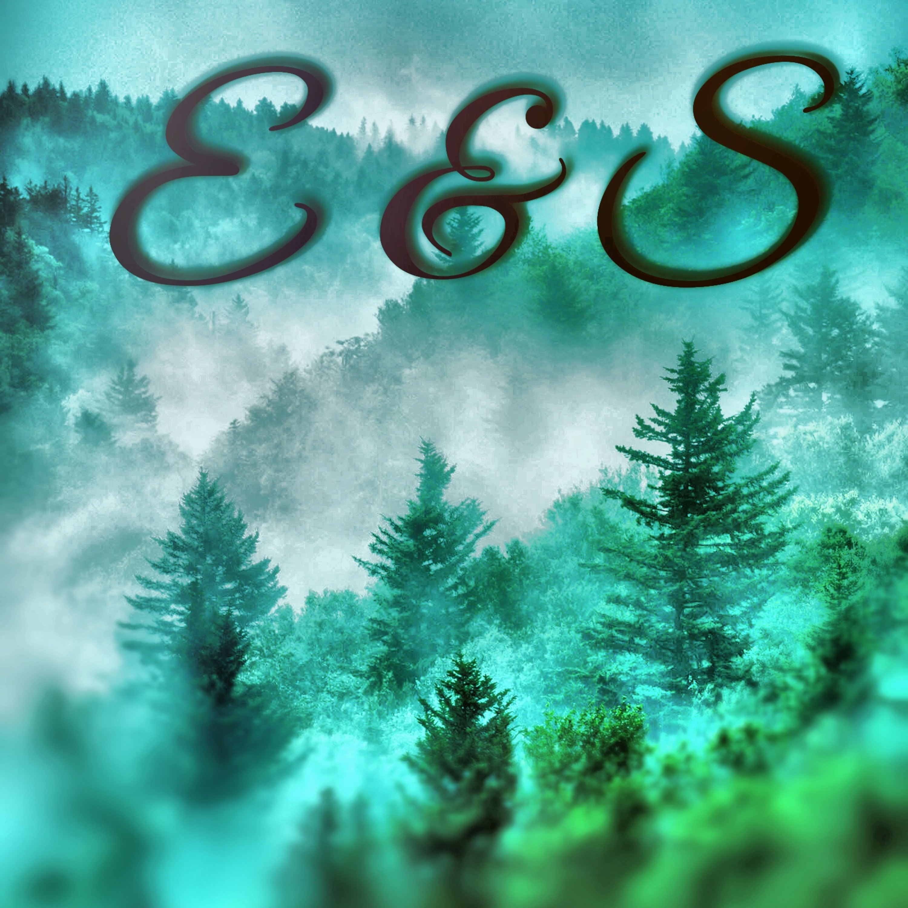 E & S Podcast Show podcast artwork