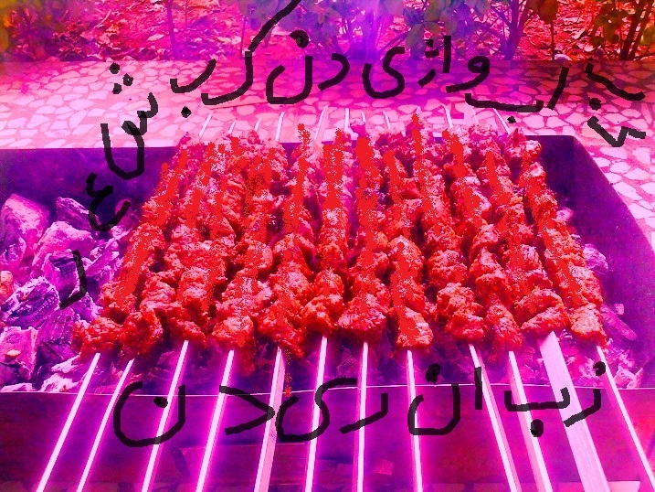 کباب‌واژیدن episode artwork