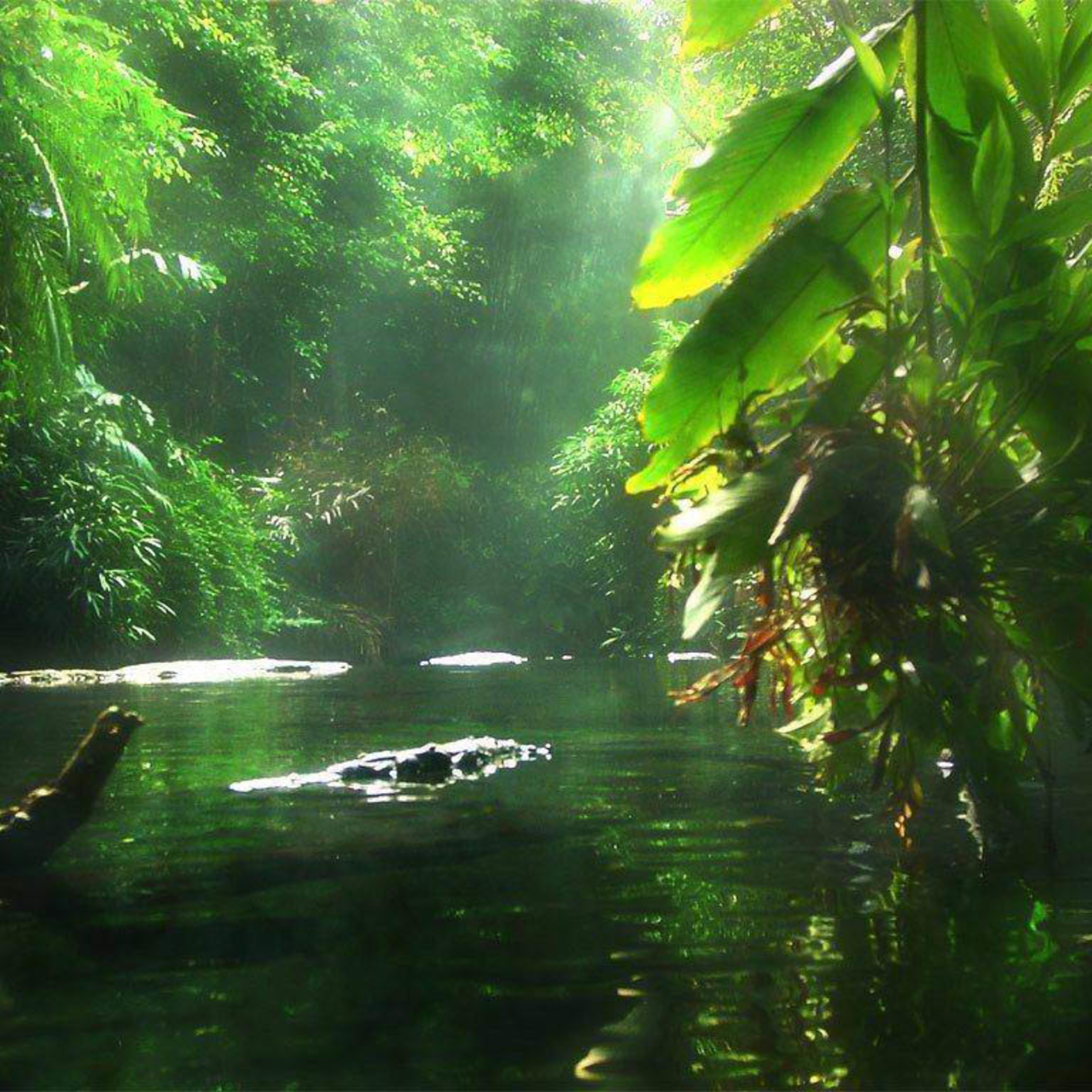 Flute: Raga Madhuvanthi