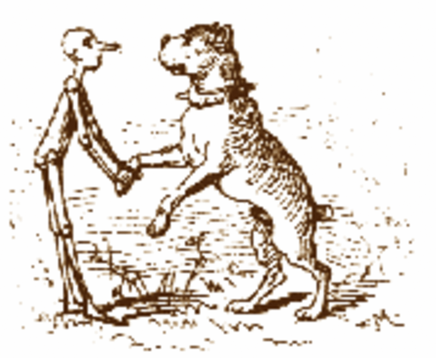 Trenonline\'s Podcast