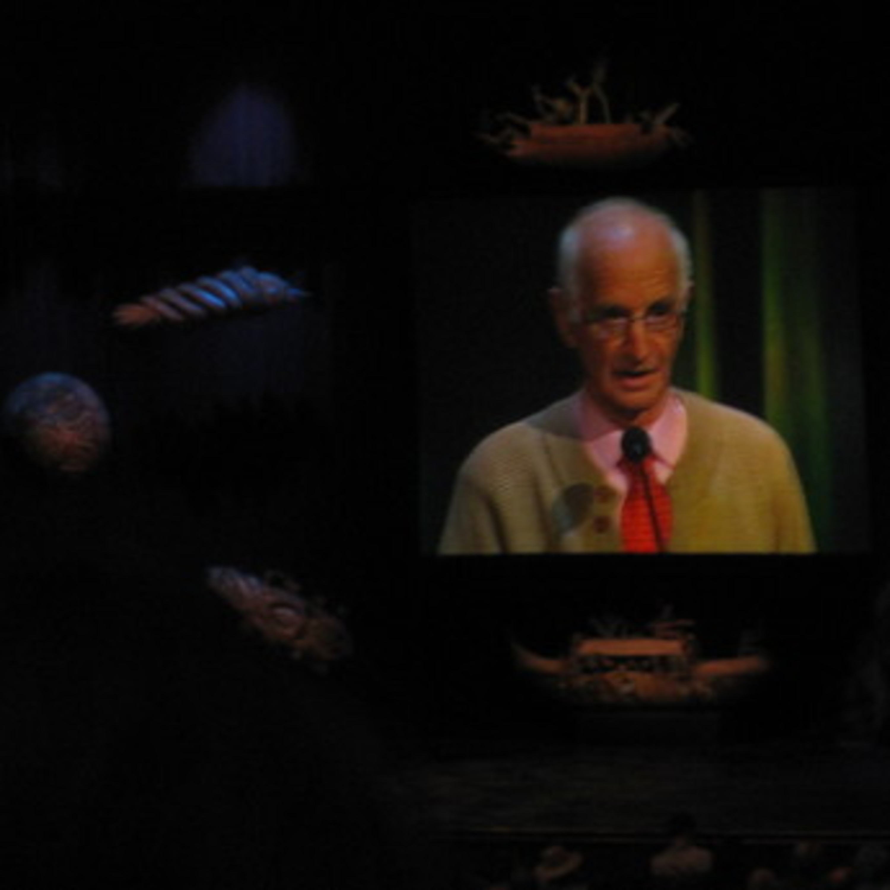 James Hillman: Bioneers episode artwork
