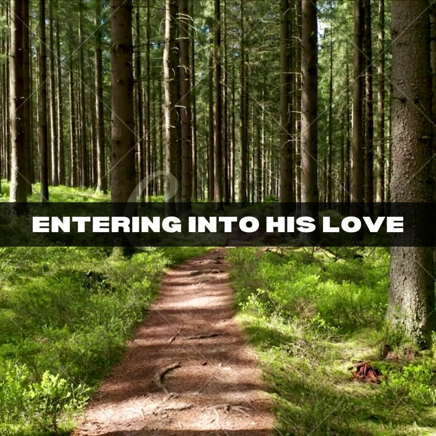 Episode 8: Entering Into His Love  - The Secret Place Series episode artwork