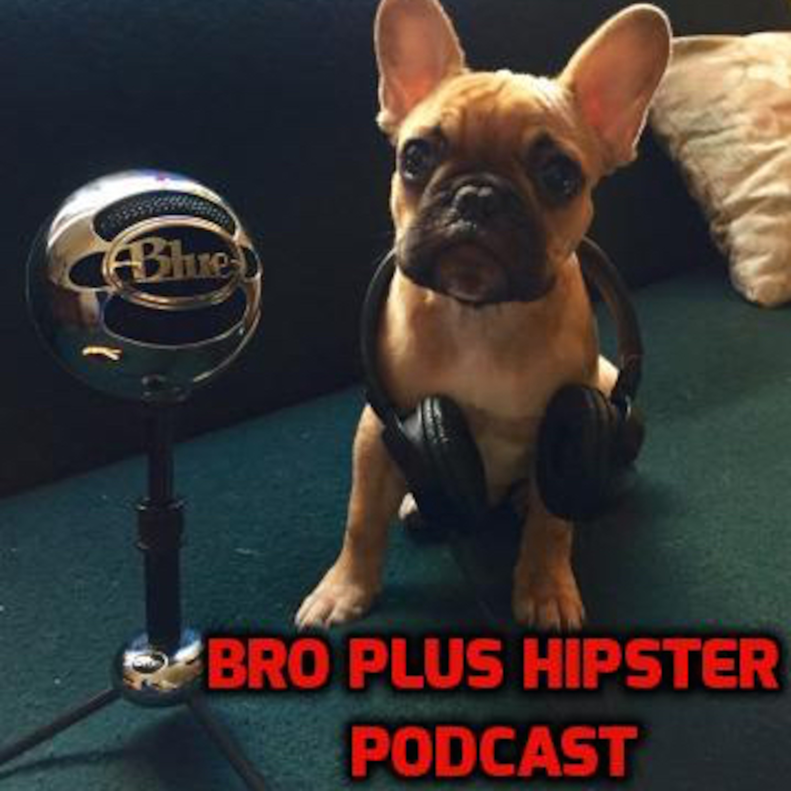 Bro Plus Hipster Podcast