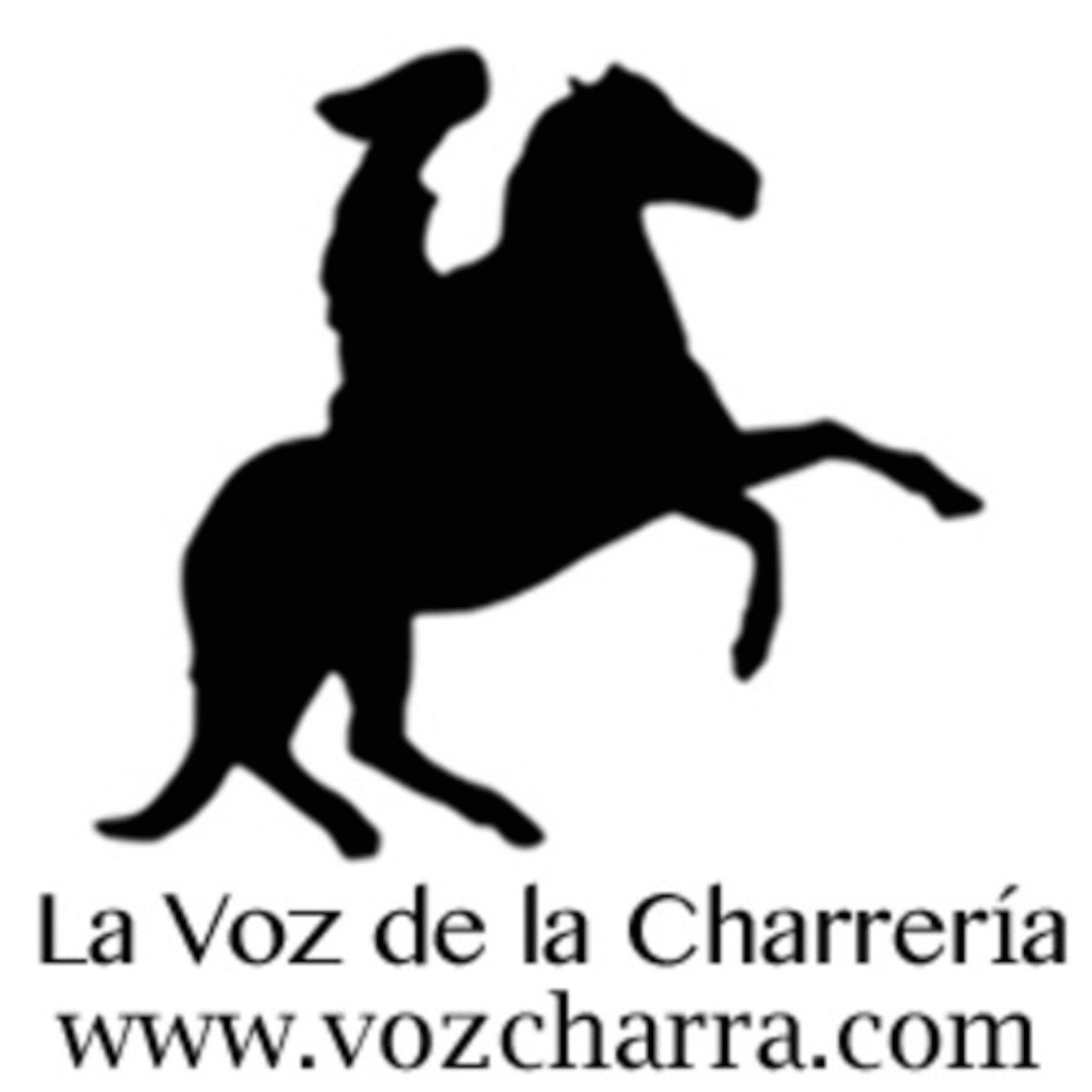 Informativo VozCharra Radio Programa 1 episode artwork