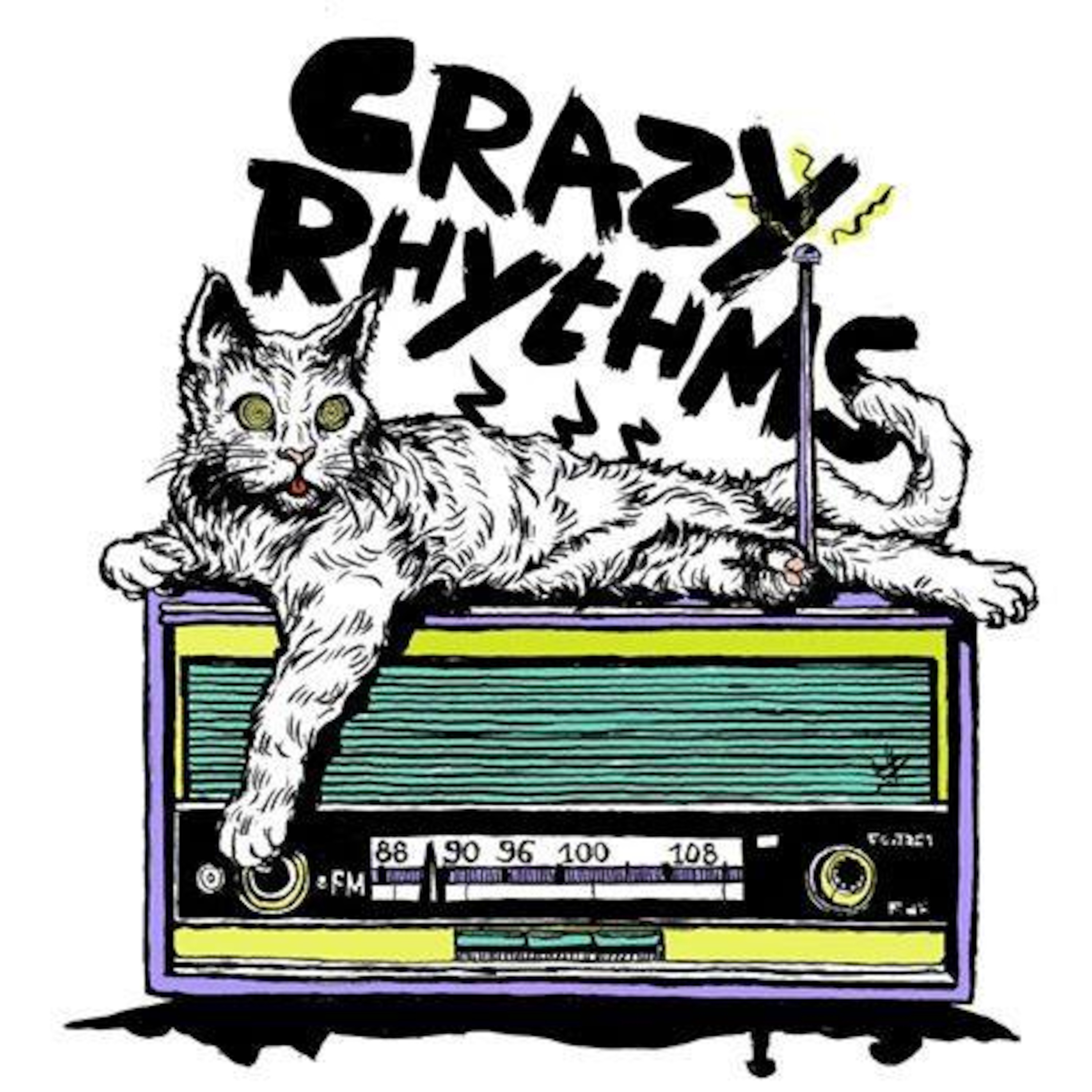 Crazy Rhythms Podcast