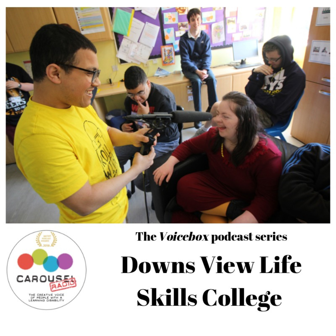 The Voicebox podcast: Downs View Life Skills College