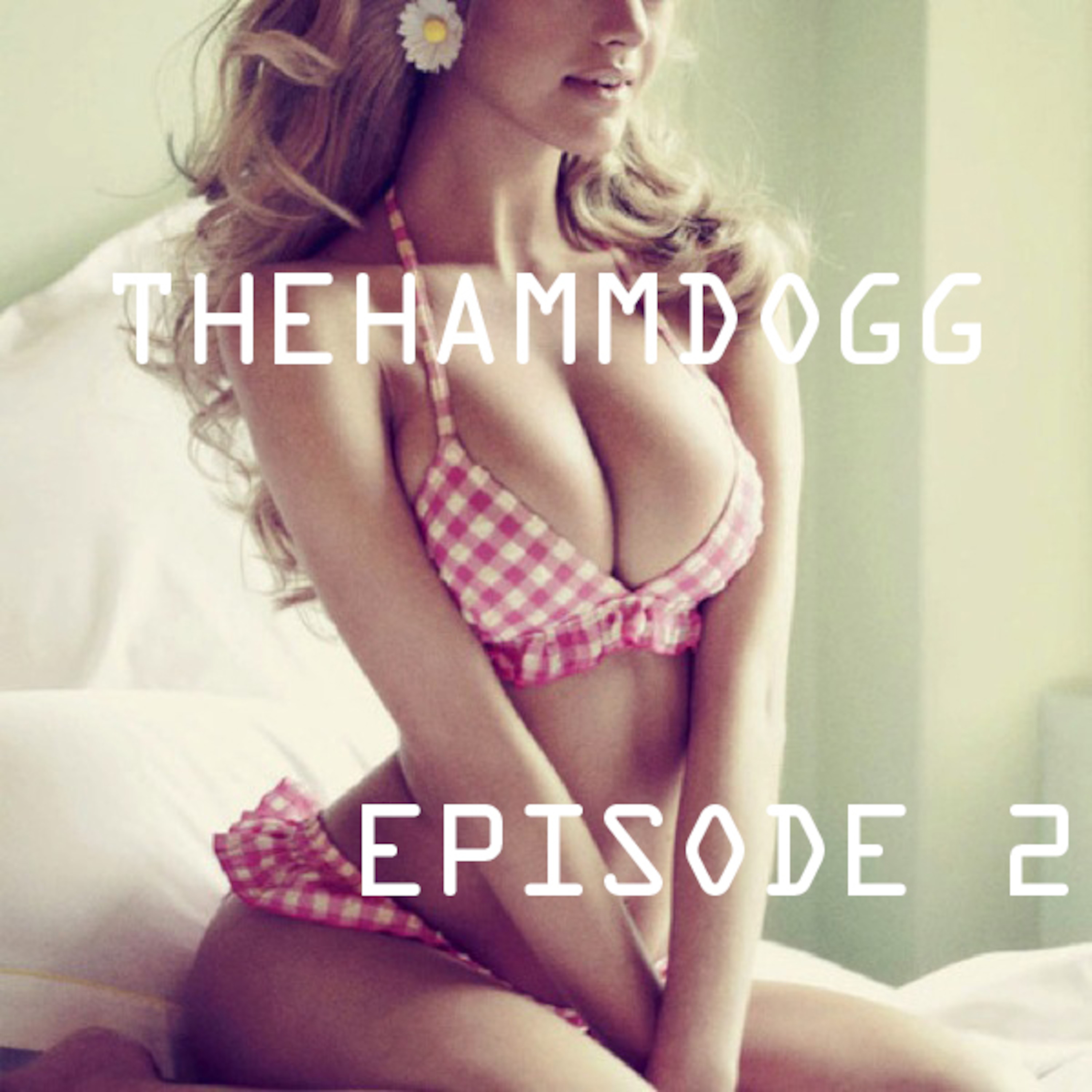 Episode 2 - Dubstep Podcast - DJ HammDogg