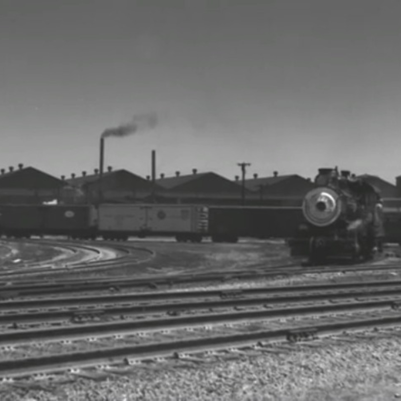 Ep 1. A Typical Day at the Beach