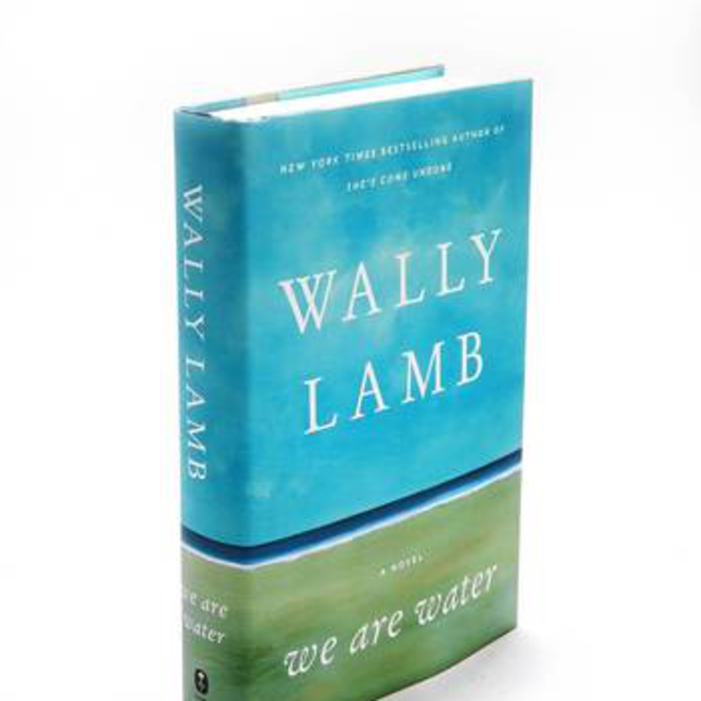 Reading Cove Podcast Episode #40 - Discussing WE ARE WATER by Wally Lamb! episode artwork