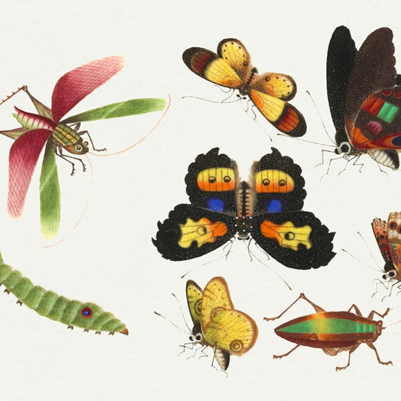 Episode 38: Bugs & The Beatles EP # 38