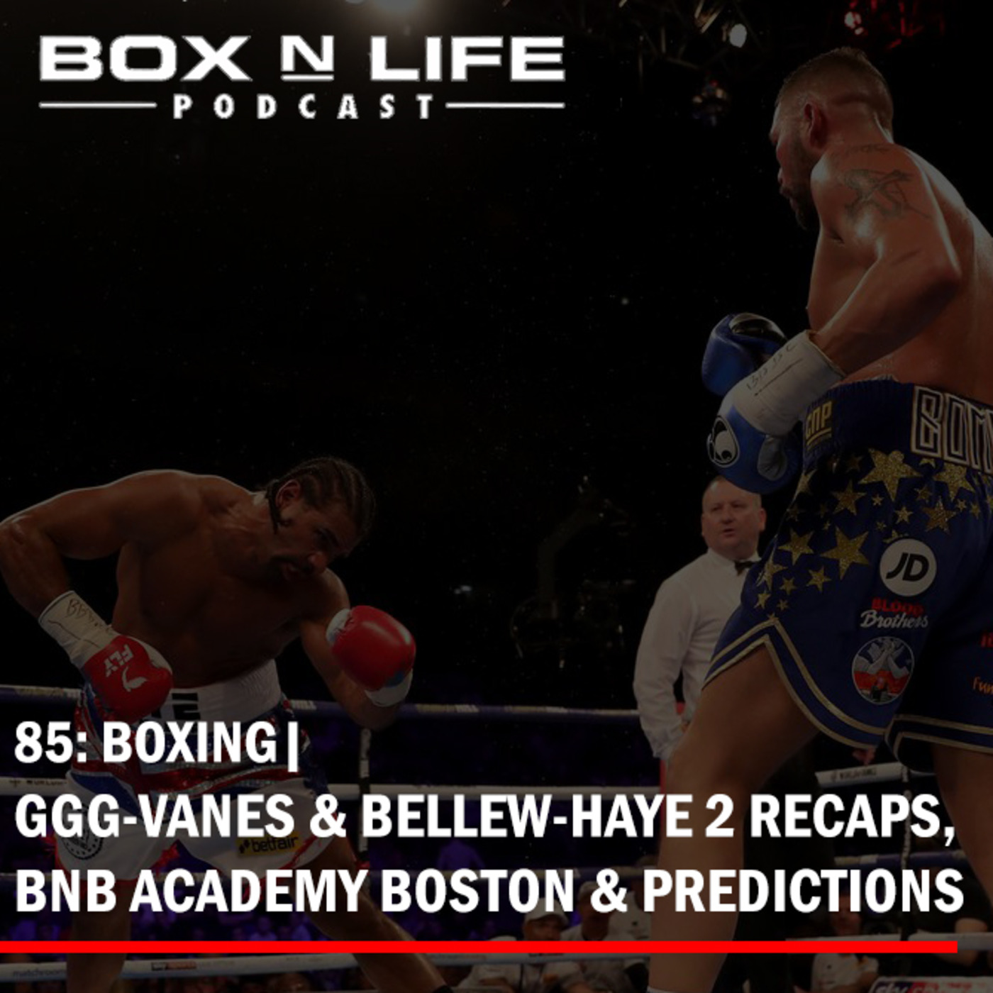 85 BOXING| GGG-VANES & BELLEW-HAYE 2 RECAPS, BNB ACADEMY BOSTON & PREDICTIONS