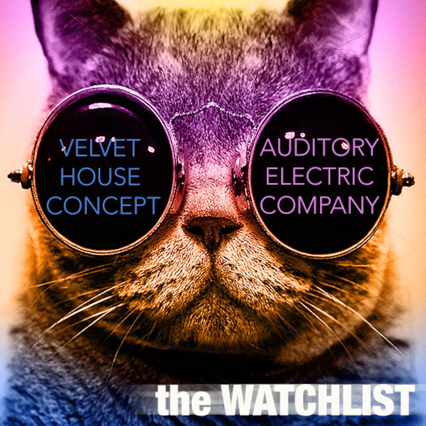 Velvet House Concept v.9 - Auditory Electric Company
