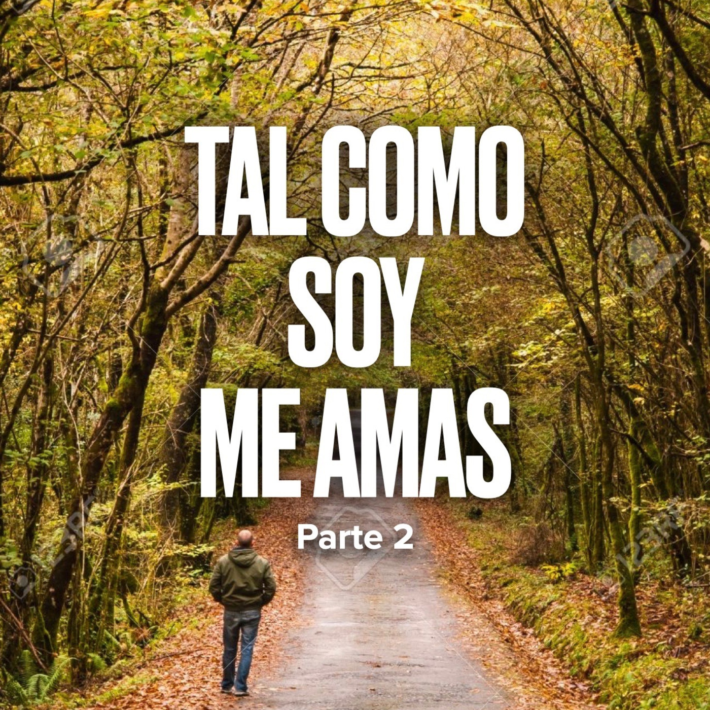 Reflexiones