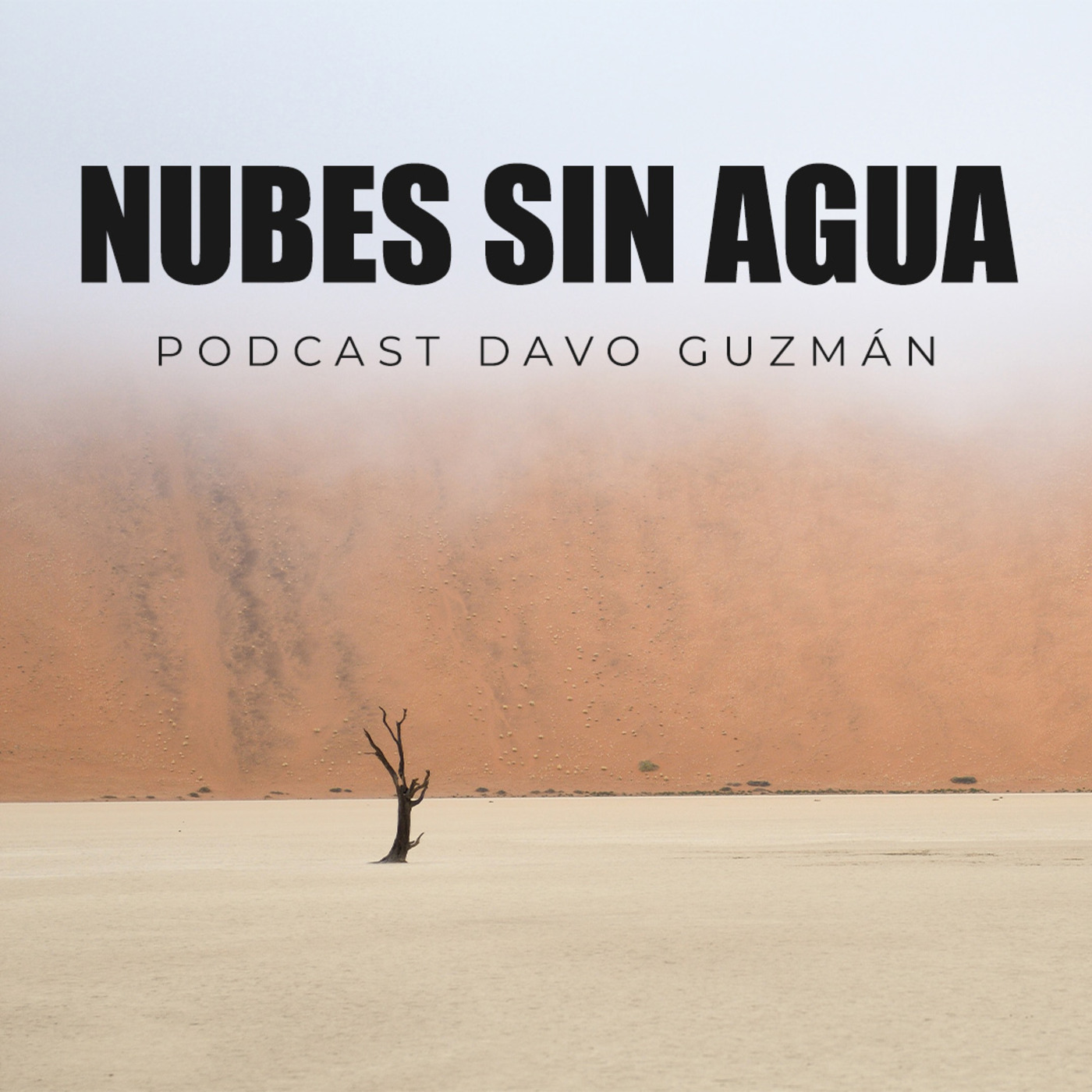 Reflexiones