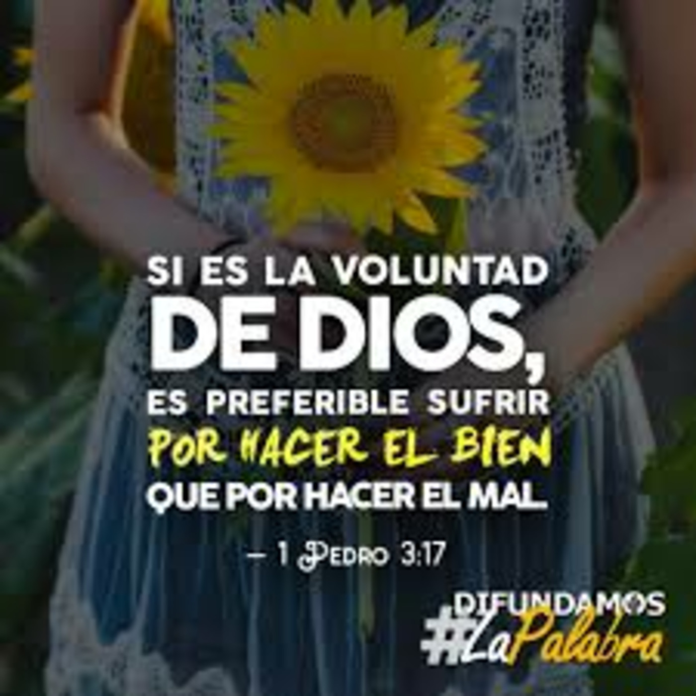 Episode 181: Una buena conciencia